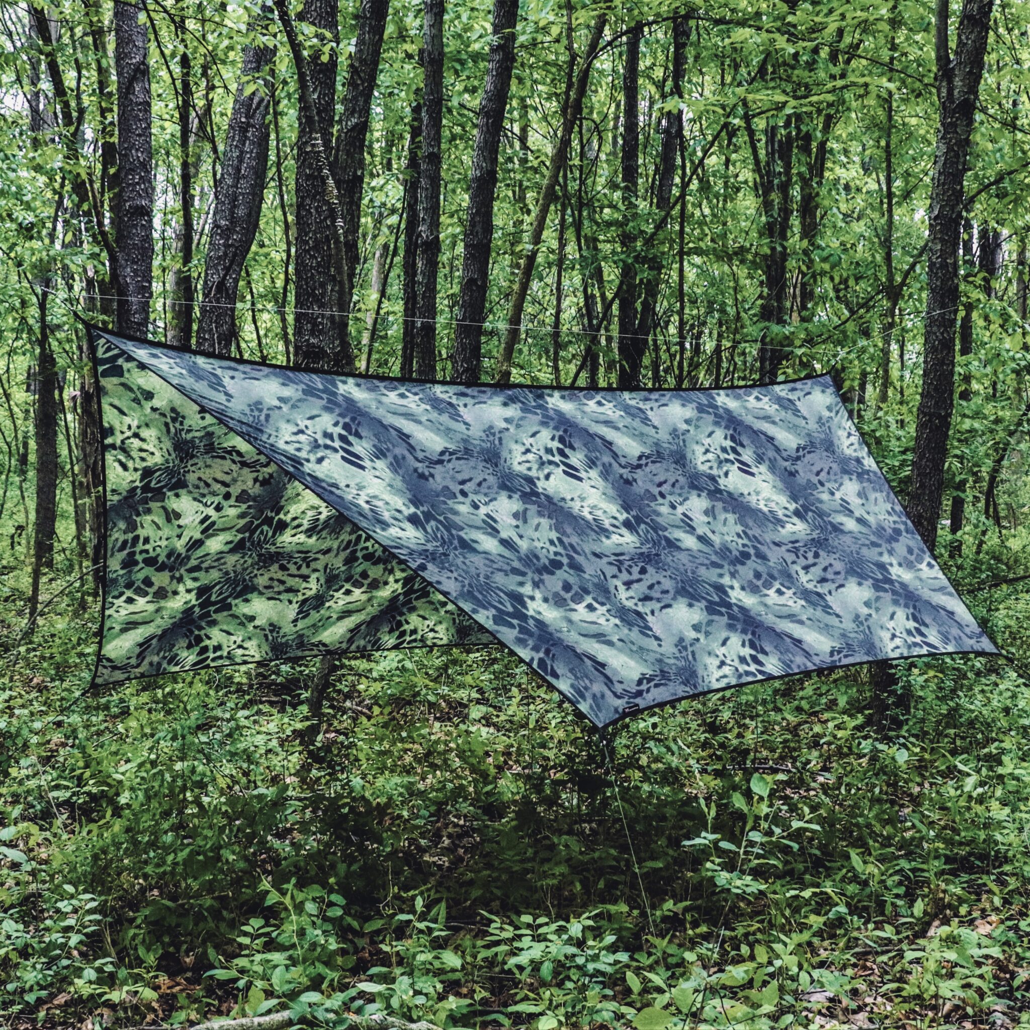Hanger 12 | Custom - Image 5
